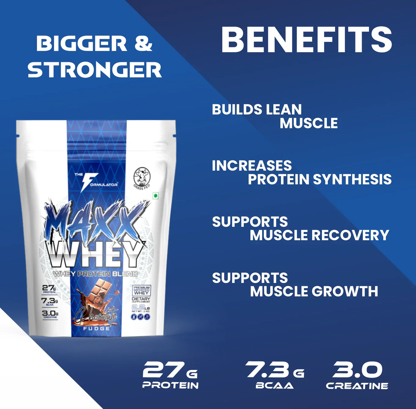 The Formulator MAXX Whey Protein Blend | Best Whey Protein Powder with Creatine & BCAA | Grass-Fed Premium Whey for Lean Muscle Gain, Weight Gain & Recovery - BIONIK NUTRITION