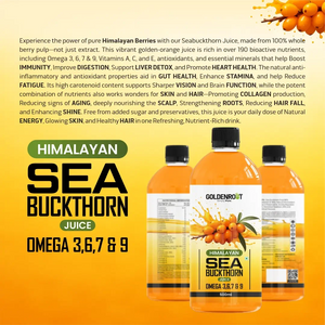 Goldenroot Himalayan Sea Buckthorn Juice | Rich in Omega 3, 6, 7 & 9 | 500ml | Immunity, Skin, Heart & Gut Health Support - BIONIK NUTRITION