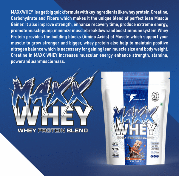 MAXX Whey Protein Blend | Best Whey Protein Powder with Creatine & BCAA | Grass-Fed Premium Whey for Lean Muscle Gain, Weight Gain & Recovery - Image 4