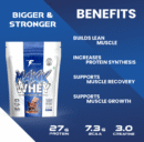 MAXX Whey Protein Blend | Best Whey Protein Powder with Creatine & BCAA | Grass-Fed Premium Whey for Lean Muscle Gain, Weight Gain & Recovery