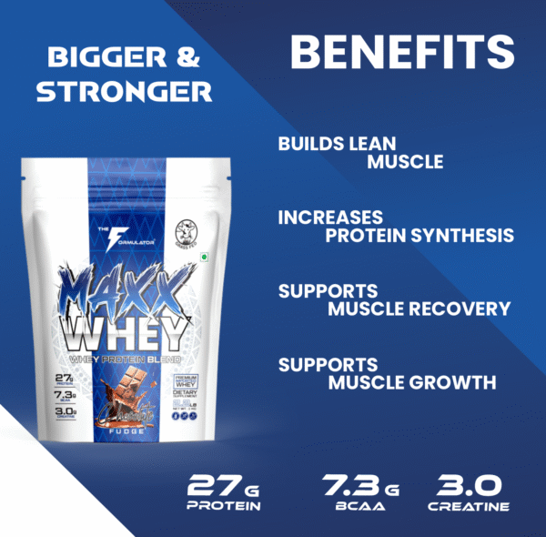 MAXX Whey Protein Blend | Best Whey Protein Powder with Creatine & BCAA | Grass-Fed Premium Whey for Lean Muscle Gain, Weight Gain & Recovery - Image 2